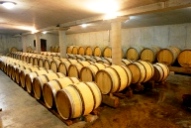 Domaine Rostaing barrels room