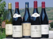 Cte-Rtie, Condrieu & Languedoc
