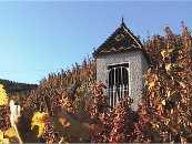 Pavillon of Cte Blonde