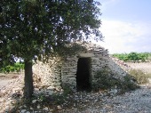 Capitelle au milieu de la vigne