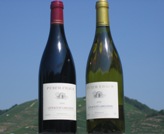 Les deux Puech Noble
